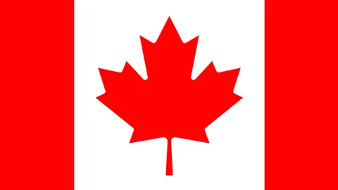 2025年“三农”政策解读：中央一号文件“施工图”揭晓！